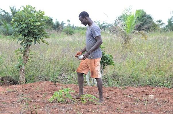 Petite saison des pluies : l’ANAMET recommande des semences à cycle court aux agriculteurs du sud-Togo