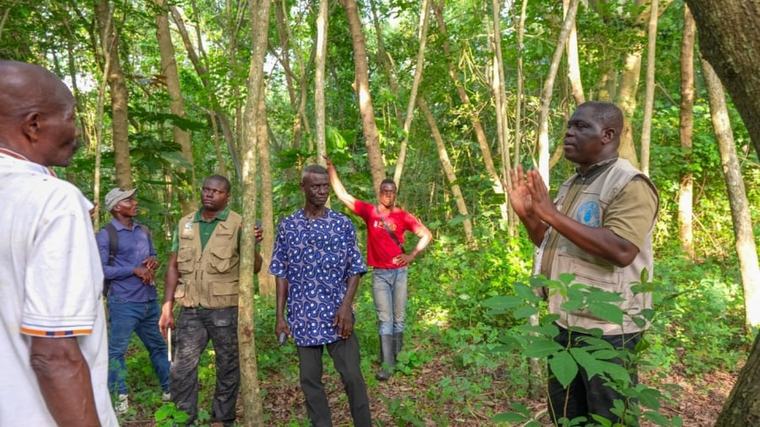 "Reboisez et gagnez de l'argent" : entretien avec Dr Oyétoundé Djiwa, FAO